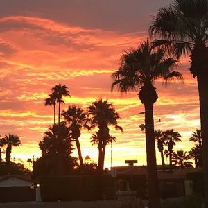 Meet your Posher, Louise